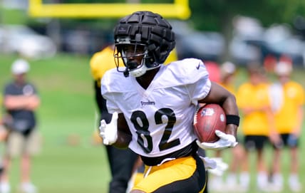 Steelers WR Steven Sims