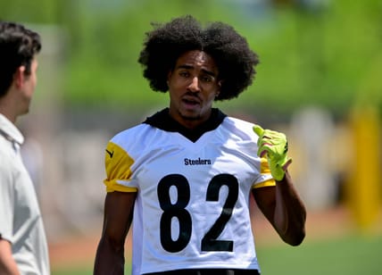 Steelers Dez Fitzpatrick