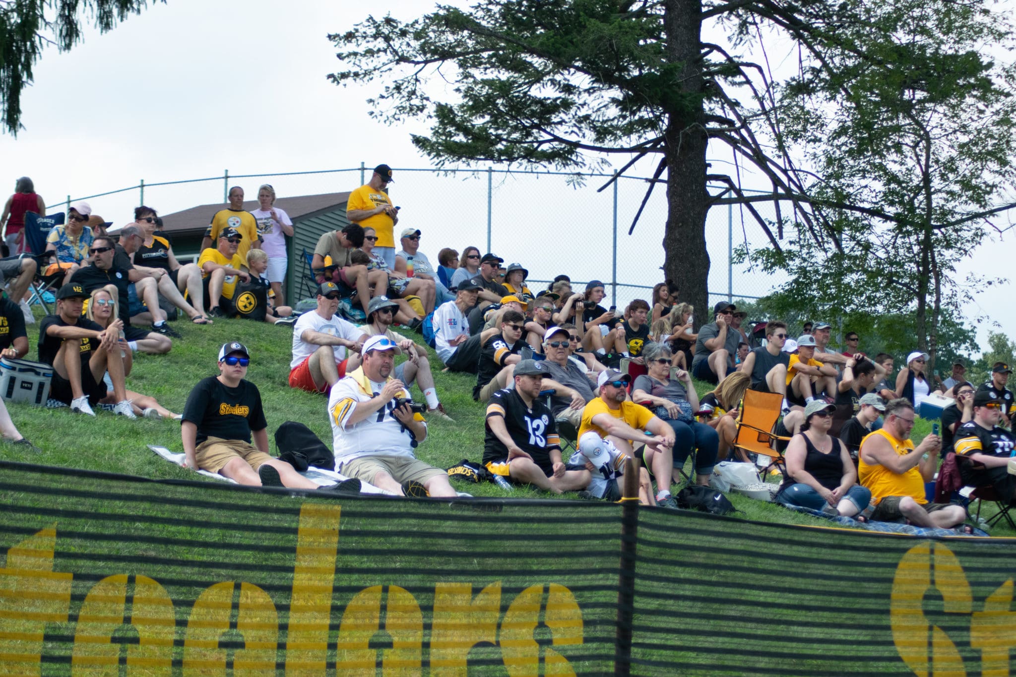 Steelers Training Camp