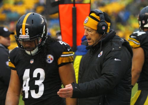 Steelers Troy Polamalu at Browns