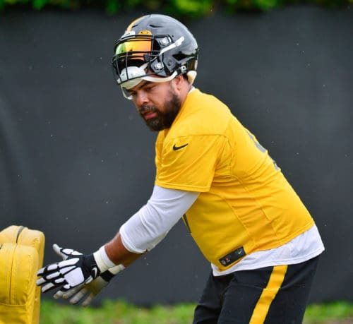 Steelers DL Cam Heyward