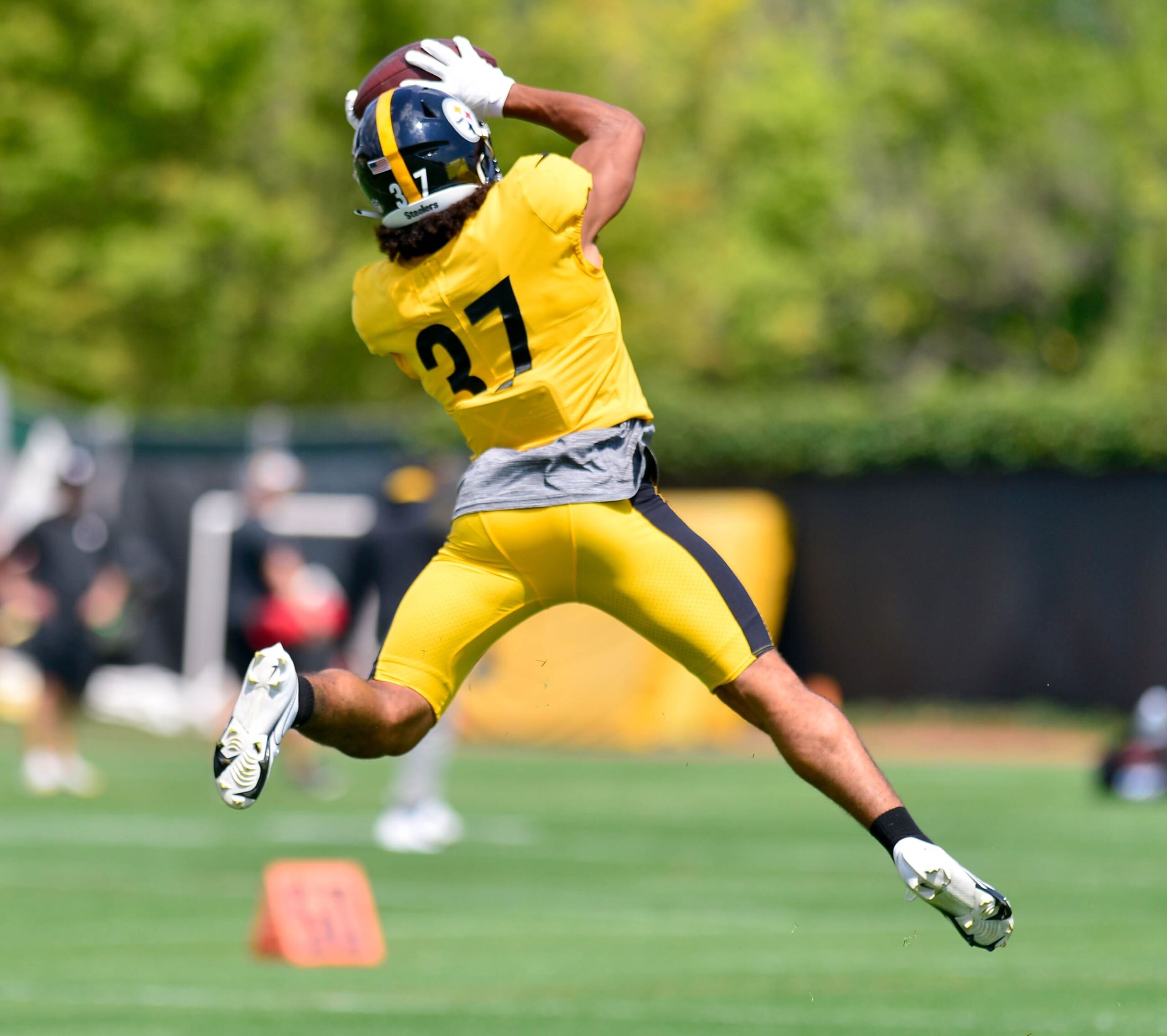 Steelers safety Elijah Riley