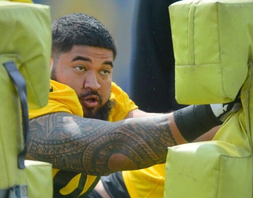 Steelers Breiden Fehoko