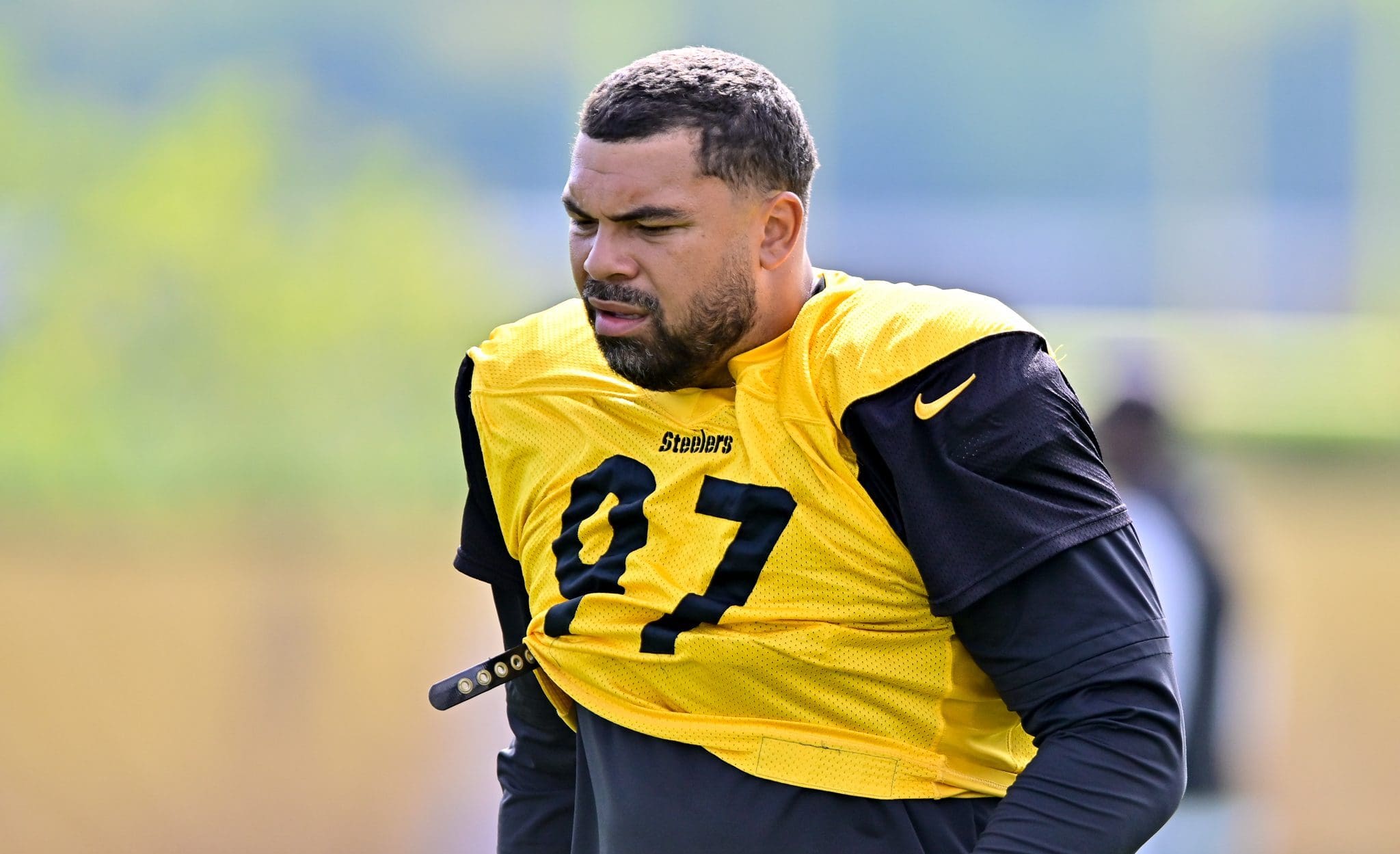 Steelers DL Cam Heyward