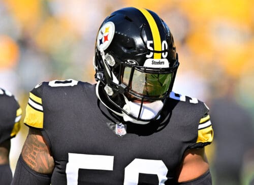 Steelers LB Elandon Roberts