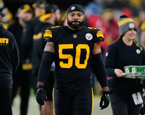 Steelers LB Elandon Roberts