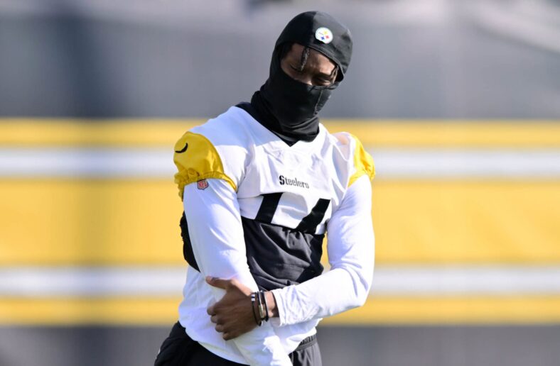 Pittsburgh Steelers WR George Pickens