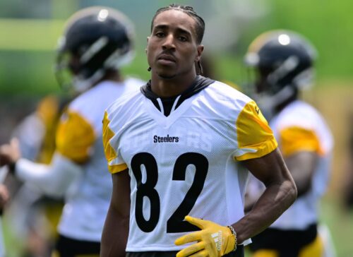 Pittsburgh Steelers WR Dez Fitzpatrick