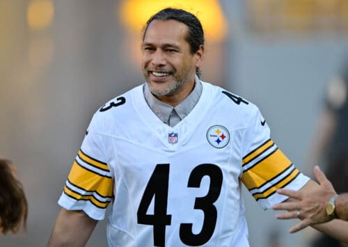 Troy Polamalu