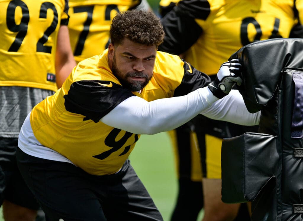 Pittsburgh Steelers DT Cam Heyward