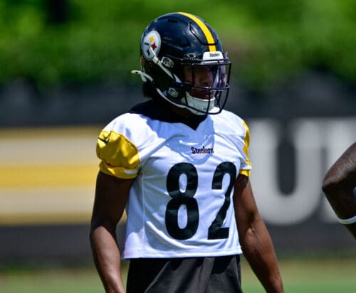 Pittsburgh Steelers WR Dez Fitzpatrick