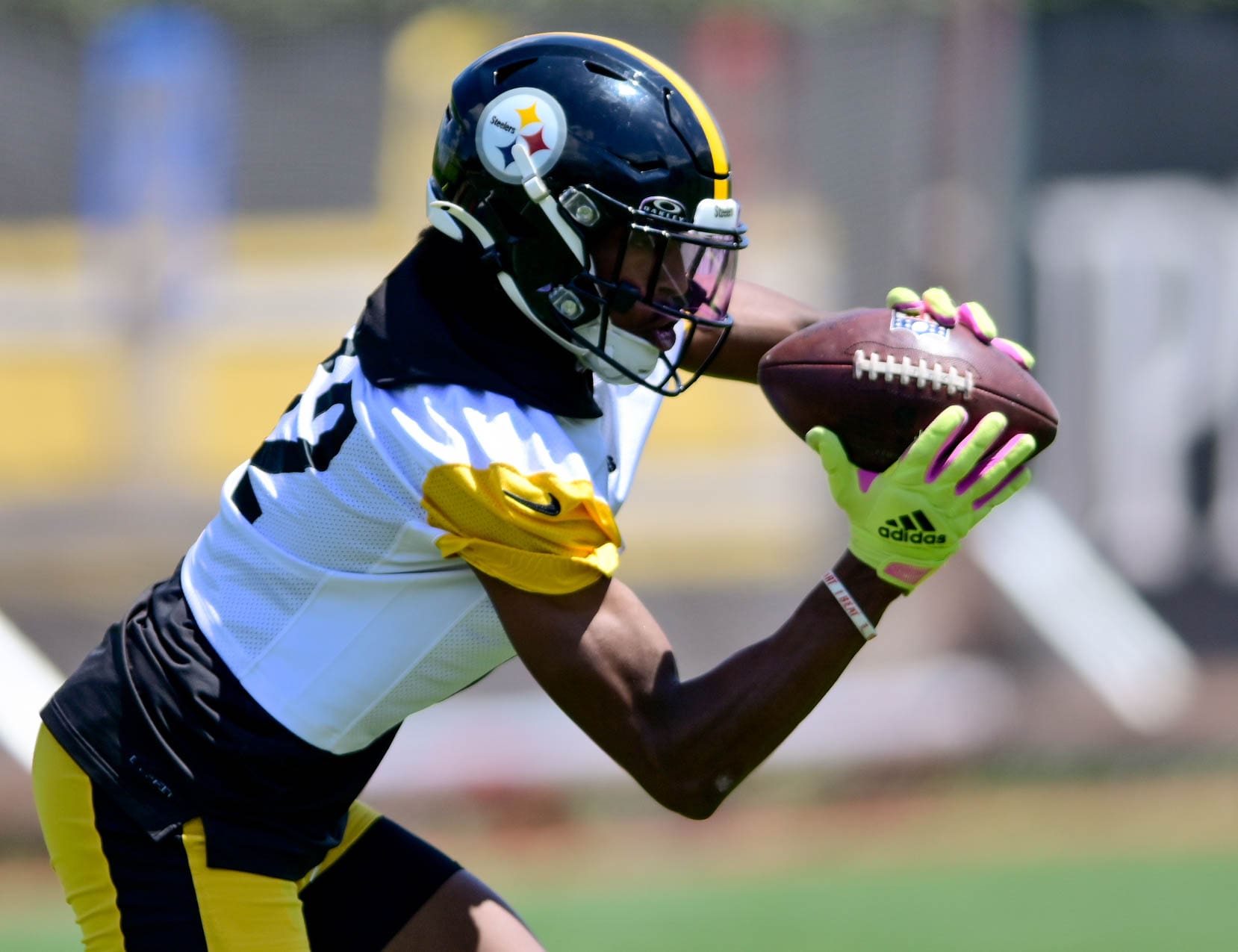 Pittsburgh Steelers WR Dez Fitzpatrick