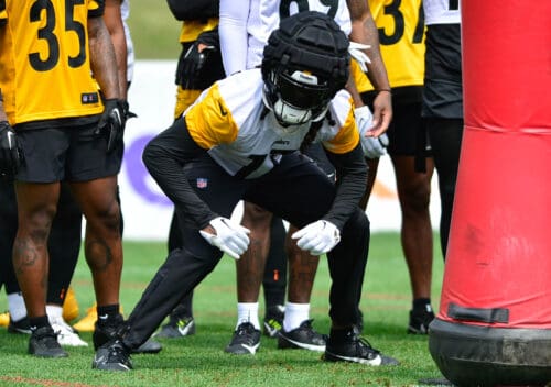 Steelers Wide Receiver Marquez Callaway