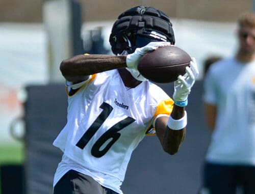 Pittsburgh Steelers WR Quez Watkins