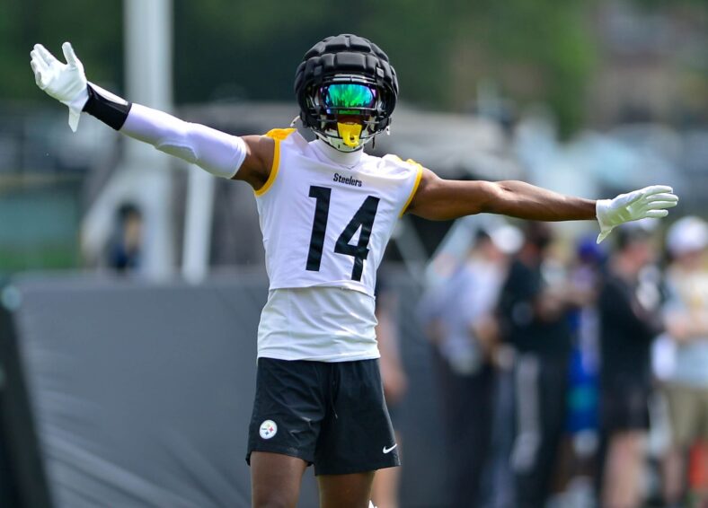 Pittsburgh Steelers WR George Pickens