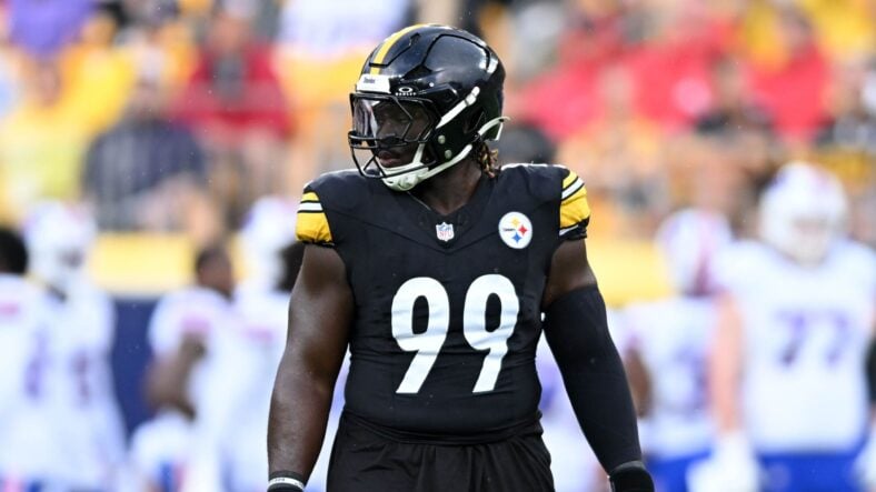 Pittsburgh Steelers DT Larry Ogunjobi