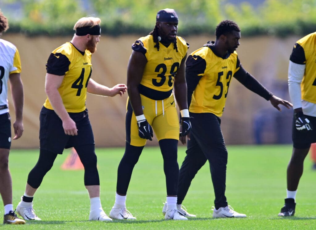 Pittsburgh Steelers ILB Tyler Matakevich, OLB Kyron Johnson, Marcus Haynes