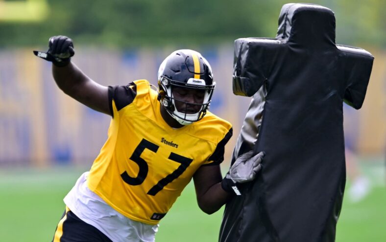 Pittsburgh Steelers DT Montravius Adams