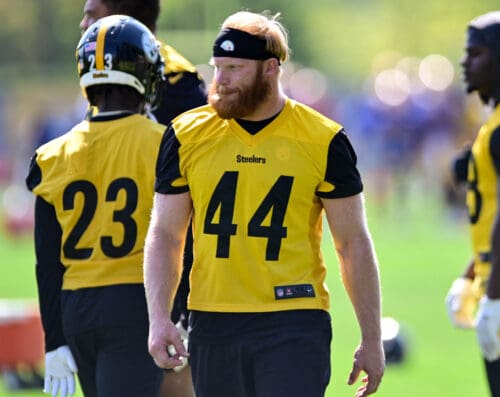 Pittsburgh Steelers linebacker Tyler Matakevich