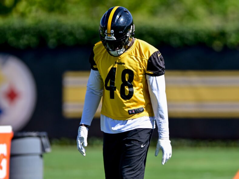 Pittsburgh Steelers OLB Ade Ogundeji