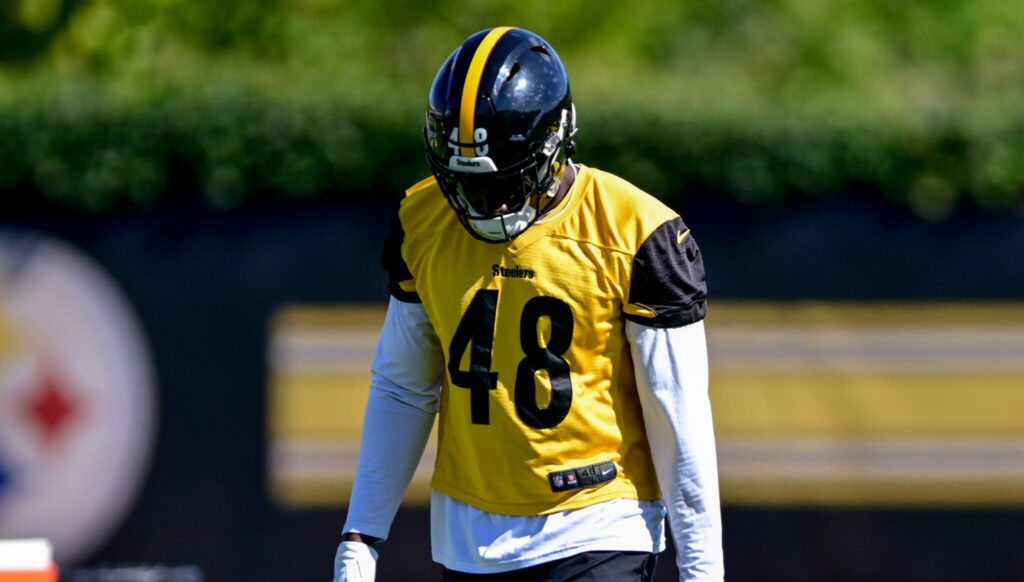 Pittsburgh Steelers OLB Ade Ogundeji