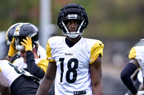 Pittsburgh Steelers WR Mike Williams