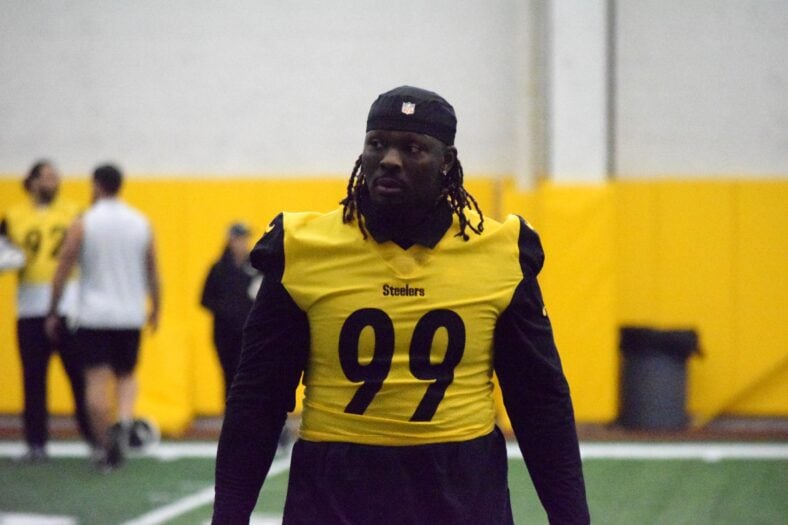 Pittsburgh Steelers DT Larry Ogunjobi