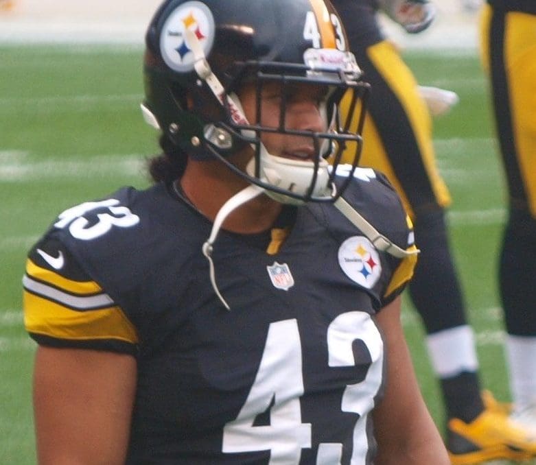 TROY POLAMALU: Former Pittsburgh Steelers star is a finalist for Pro  Football Hall of Fame Class of 2020