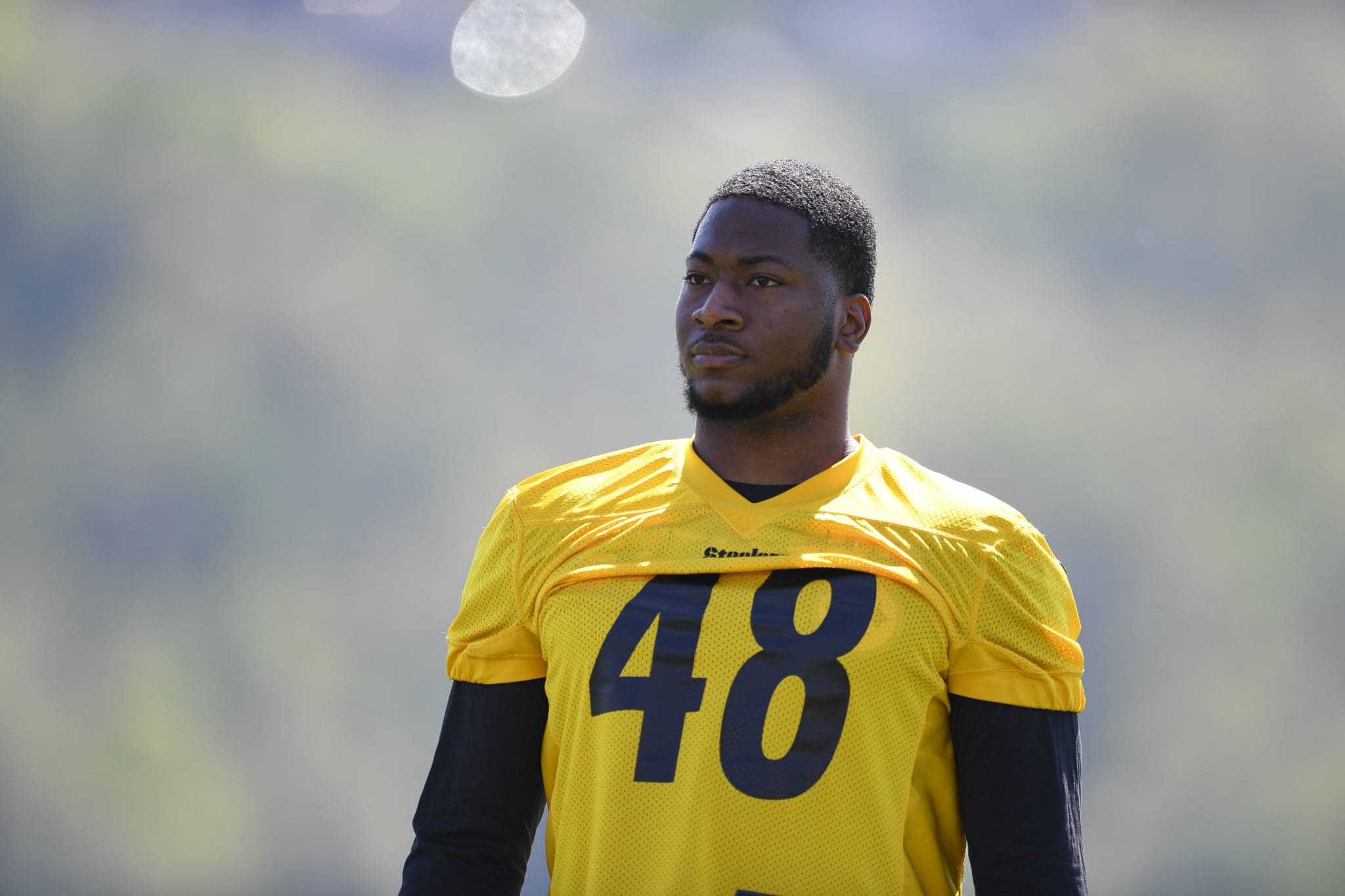 NY Giants Claim OLB Quincy Roche off Waivers from Steelers