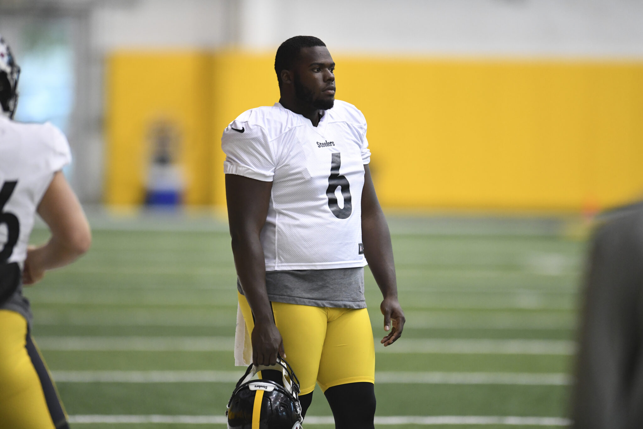 Steelers punter Pressley Harvin III isn't happy with Madden 