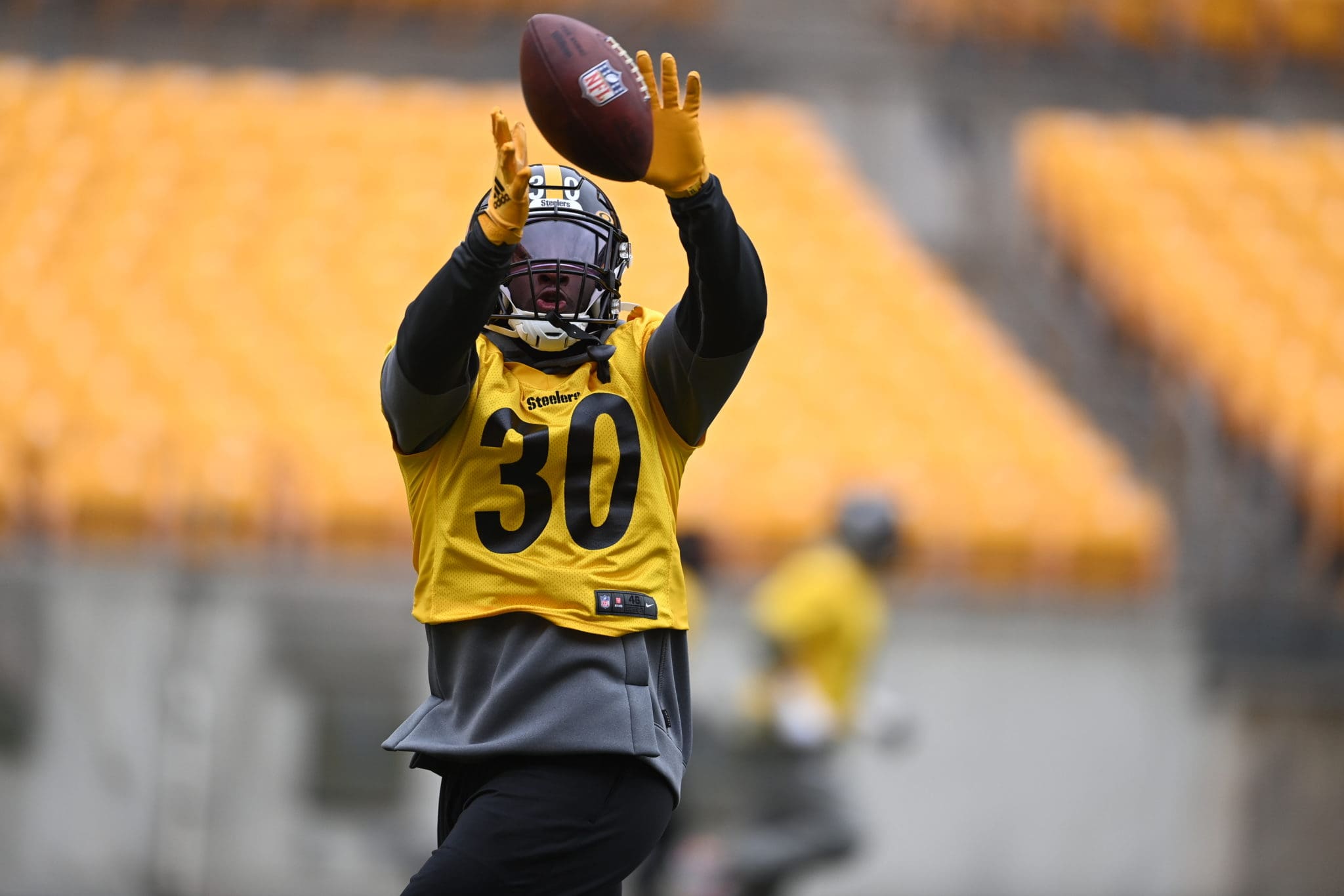 Pittsburgh Steelers sign LB Tegray Scales to practice squad