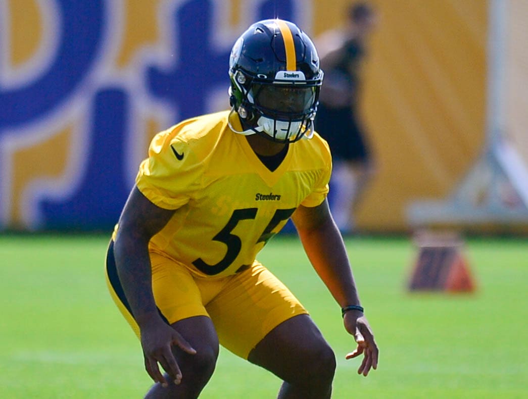 Report: Former Steelers' top pick Devin Bush to sign with new team