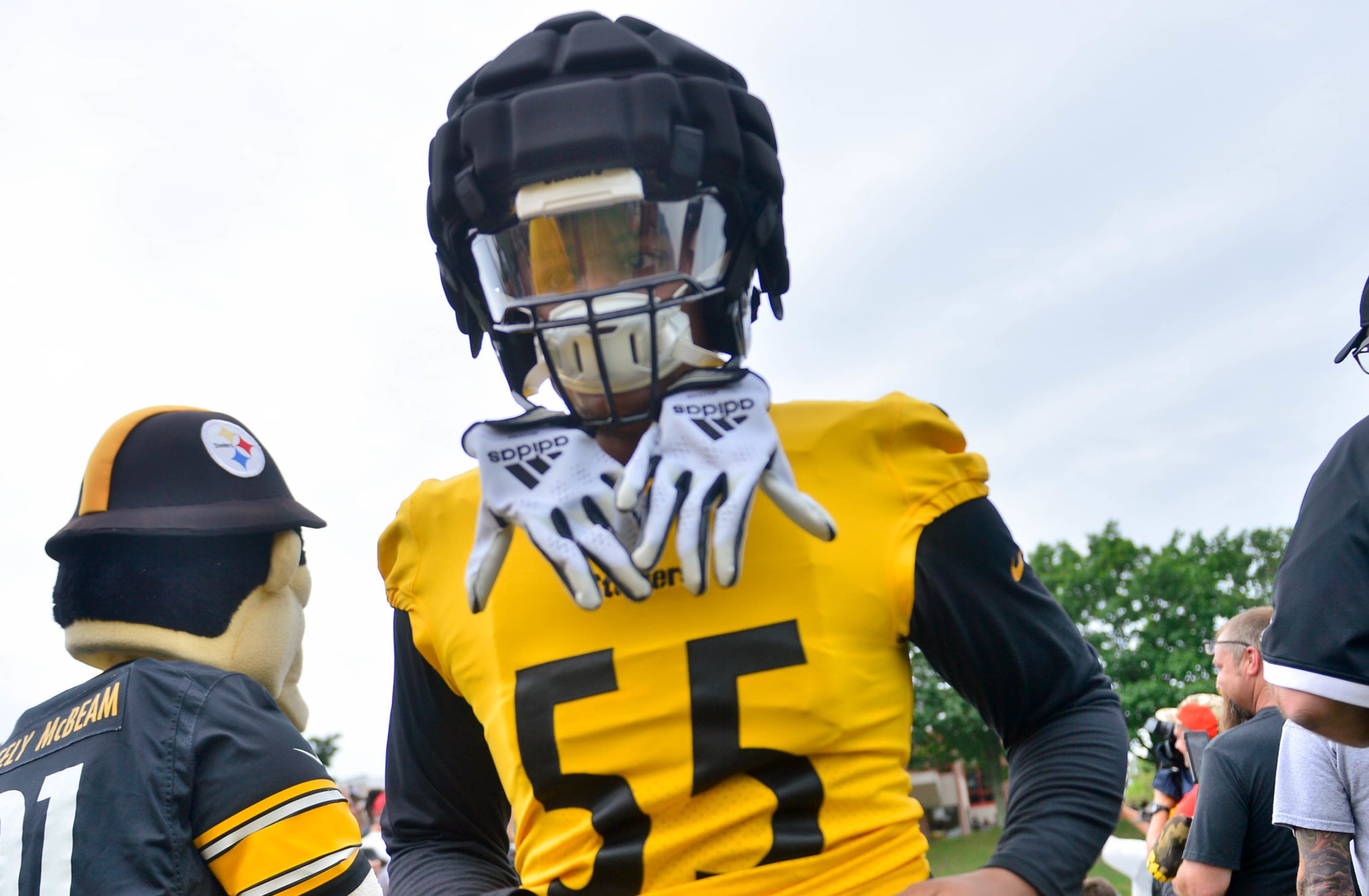 Steelers 1st Round Bust Devin Bush Absolutely Blasts Mike Tomlin And The  Organization On Podcast