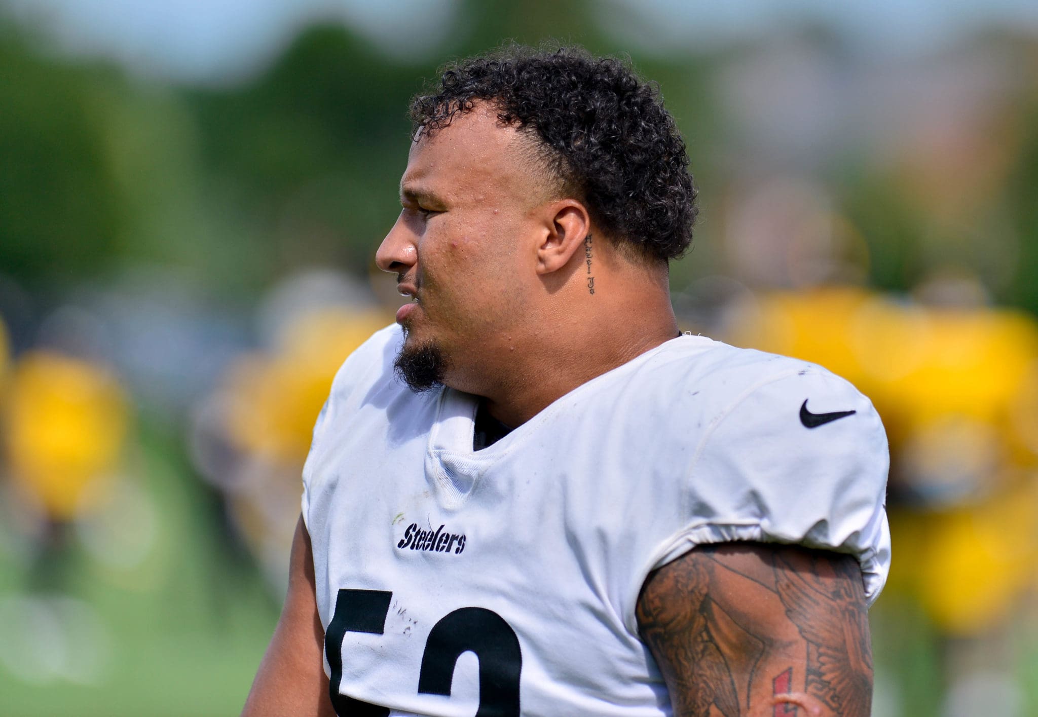 Steelers RB Redman ready to carry heavy load