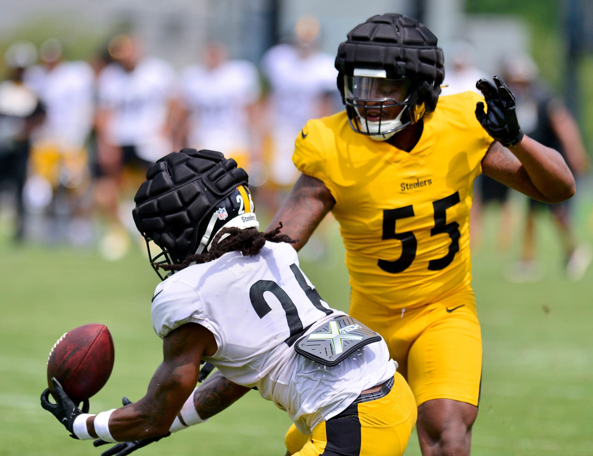 Mike Tomlin Praises Steelers ILB Devin Bush in Return to Action - Steelers  Now