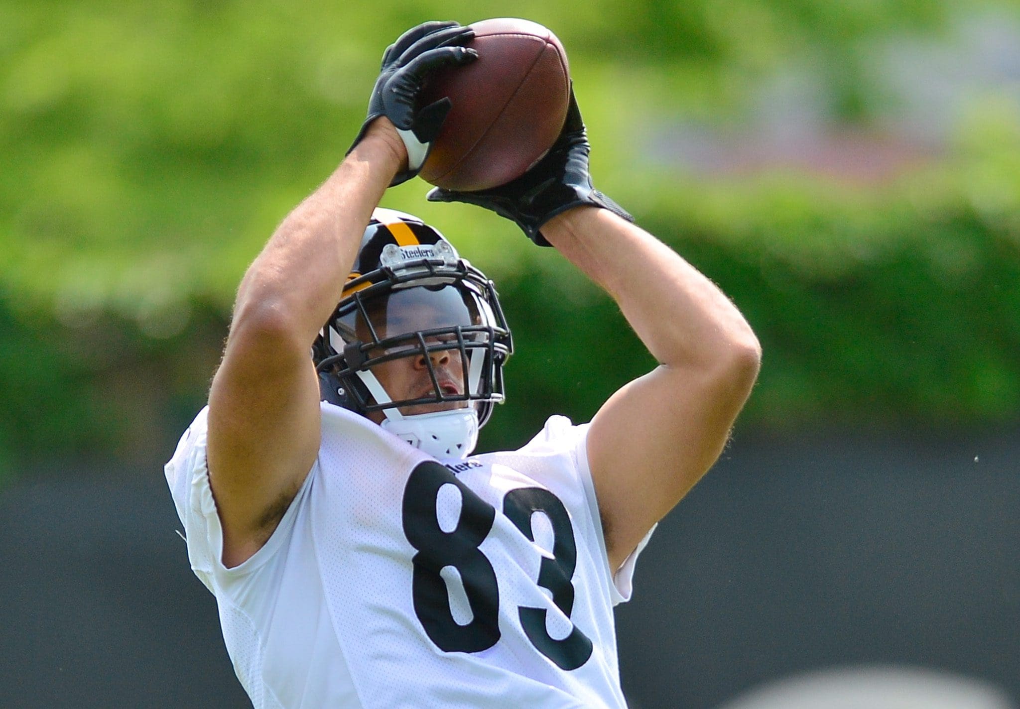 Pittsburgh Steelers tight end Zach Gentry (83) during an NFL