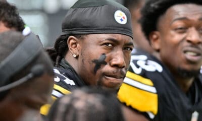 Perspective Of An Average Steelers Fan: Steelers 2023 Hall Of Honor  Nominations - Steelers Depot